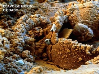 CLAVO DE HIERRO
OXIDADO
 