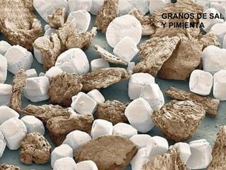 GRANOS DE SAL
Y PIMIENTA