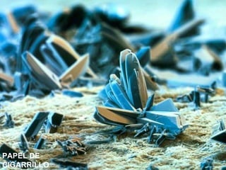 PAPEL DE
CIGARRILLO