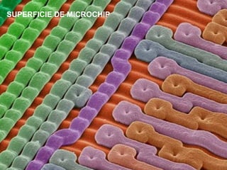 SUPERFICIE DE MICROCHIP