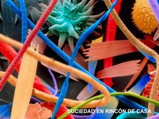 SUCIEDAD EN RINCÓN DE CASA