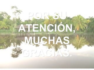POR SU
ATENCIÓN,
 MUCHAS
GRACIAS.
 