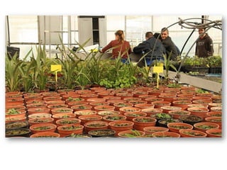 Primaria a secundaria fuenmayor 15