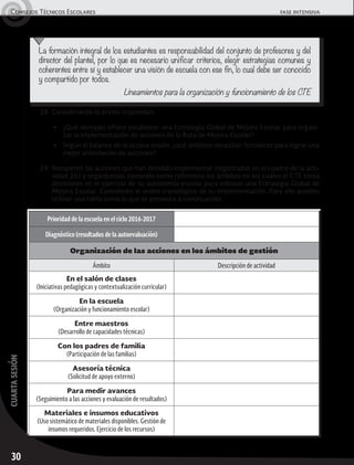 30
cuartasesiónConsejos Técnicos Escolares	 fase intensiva
La formación integral de los estudiantes es responsabilidad del conjunto de profesores y del
director del plantel, por lo que es necesario unificar criterios, elegir estrategias comunes y
coherentes entre sí y establecer una visión de escuela con ese fin, lo cual debe ser conocido
y compartido por todos.
Lineamientos para la organización y funcionamiento de los CTE
28.	Considerando lo previo respondan:
▶	 ¿Qué ventajas ofrece establecer una Estrategia Global de Mejora Escolar para organi-
zar la implementación de acciones de la Ruta de Mejora Escolar?
▶	 Según el balance de la octava sesión, ¿qué ámbitos necesitan fortalecer para lograr una
mejor articulación de acciones?
29.	Recuperen las acciones que han decidido implementar (registradas en el cuadro de la acti-
vidad 26) y organícenlas tomando como referencia los ámbitos en los cuales el CTE toma
decisiones en el ejercicio de su autonomía escolar para esbozar una Estrategia Global de
Mejora Escolar. Consideren el orden cronológico de su implementación. Para ello pueden
utilizar una tabla como la que se presenta a continuación:
Prioridad de la escuela en el ciclo 2016-2017
Diagnóstico (resultados de la autoevaluación)
Organización de las acciones en los ámbitos de gestión
Ámbito Descripción de actividad
En el salón de clases
(Iniciativas pedagógicas y contextualización curricular)
En la escuela
(Organización y funcionamiento escolar)
Entre maestros
(Desarrollo de capacidades técnicas)
Con los padres de familia
(Participación de las familias)
Asesoría técnica
(Solicitud de apoyo externo)
Para medir avances
(Seguimiento a las acciones y evaluación de resultados)
Materiales e insumos educativos
(Uso sistemático de materiales disponibles. Gestión de
insumos requeridos. Ejercicio de los recursos)
 