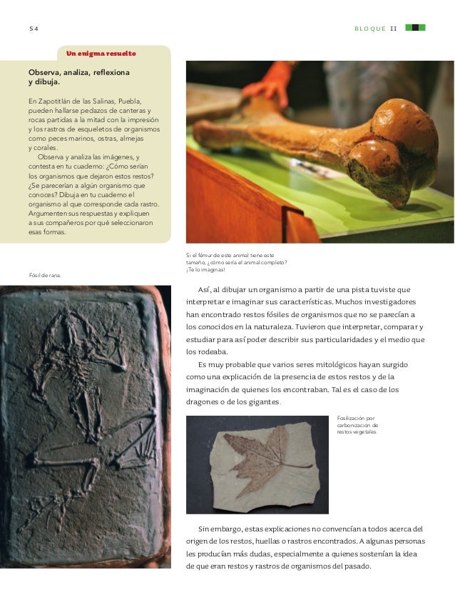 Primaria sexto grado_ciencias_naturales_libro_de_texto