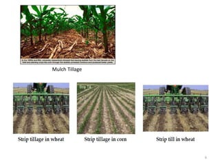 Mulch Tillage
6
 