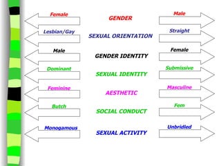 GENDER SEXUAL ORIENTATION GENDER IDENTITY SEXUAL IDENTITY AESTHETIC SOCIAL CONDUCT SEXUAL ACTIVITY Fem Masculine Submissive Female Butch Dominant Male Straight Lesbian/Gay Male Female Feminine Unbridled Monogamous 