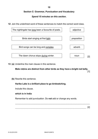 10
© UCLES 2016 0844/01/A/M/16
Section C: Grammar, Punctuation and Vocabulary
Spend 15 minutes on this section.
12 Join the underlined word of these sentences to match the correct word class.
The nightingale has long been a favourite of poets. adjective
Birds start singing at first light. preposition
Bird songs can be long and complex. adverb
The dawn chorus stops during winter. noun [2]
13 (a) Underline the main clause in this sentence.
Male robins are distinct from other birds as they have a bright red belly.
[1]
(b) Rewrite this sentence.
Harike Lake is a brilliant place to go birdwatching.
Include this clause.
which is in India
Remember to add punctuation. Do not add or change any words.
[2]
 