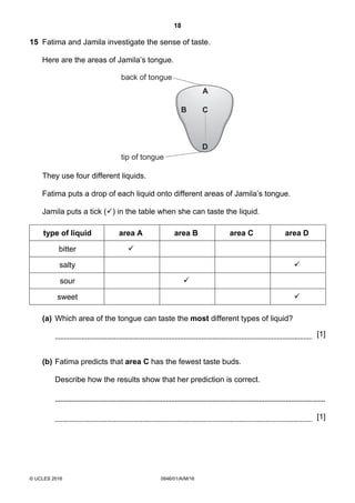 18
© UCLES 2016 0846/01/A/M/16
15 Fatima and Jamila investigate the sense of taste.
Here are the areas of Jamila’s tongue.
back of tongue
tip of tongue
A
B C
D
They use four different liquids.
Fatima puts a drop of each liquid onto different areas of Jamila’s tongue.
Jamila puts a tick () in the table when she can taste the liquid.
type of liquid area A area B area C area D
bitter 
salty 
sour 
sweet 
(a) Which area of the tongue can taste the most different types of liquid?
[1]
(b) Fatima predicts that area C has the fewest taste buds.
Describe how the results show that her prediction is correct.
[1]
 