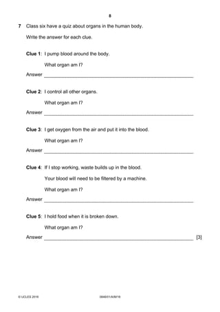 8
© UCLES 2016 0846/01/A/M/16
7 Class six have a quiz about organs in the human body.
Write the answer for each clue.
Clue 1: I pump blood around the body.
What organ am I?
Answer
Clue 2: I control all other organs.
What organ am I?
Answer
Clue 3: I get oxygen from the air and put it into the blood.
What organ am I?
Answer
Clue 4: If I stop working, waste builds up in the blood.
Your blood will need to be filtered by a machine.
What organ am I?
Answer
Clue 5: I hold food when it is broken down.
What organ am I?
Answer [3]
 