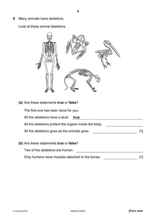 9
© UCLES 2016 0846/01/A/M/16 [Turn over
8 Many animals have skeletons.
Look at these animal skeletons.
(a) Are these statements true or false?
The first one has been done for you.
All the skeletons have a skull. true
All the skeletons protect the organs inside the body.
All the skeletons grow as the animals grow. [1]
(b) Are these statements true or false?
Two of the skeletons are human.
Only humans have muscles attached to the bones. [1]
 