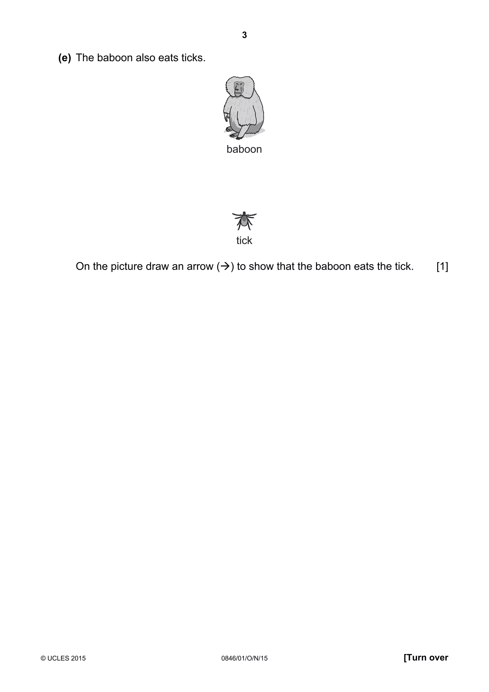 3
© UCLES 2015 0846/01/O/N/15 [Turn over
(e) The baboon also eats ticks.
baboon
tick
On the picture draw an arrow () to show that the baboon eats the tick. [1]
 