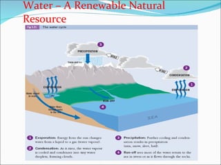 Water – A Renewable Natural Resource 