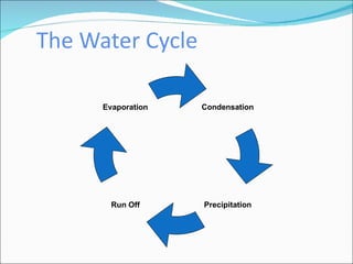 The Water Cycle Condensation Run Off Evaporation Precipitation 