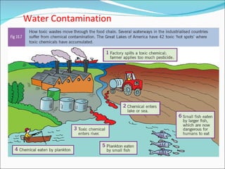 Water Contamination 