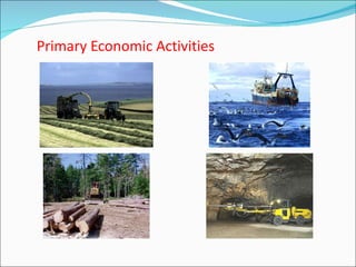 Primary Economic Activities 