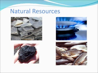 Natural Resources 