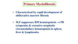 Primary Myelofibrosis
• Characterized by rapid development of
obliterative marrow fibrosis
• M.F suppresses BM hematopoies...