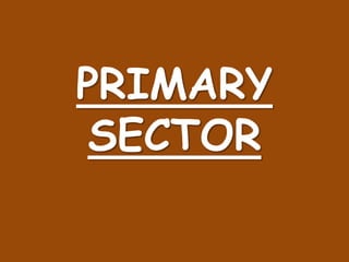 PRIMARY SECTOR 