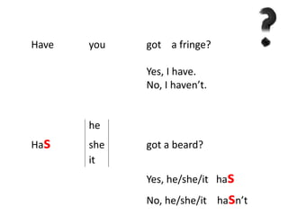 Have you got a fringe? 
Yes, I have. 
No, I haven’t. 
he 
Has she got a beard? 
it 
Yes, he/she/it has 
No, he/she/it hasn’t 
 