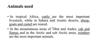 Animals used
• In tropical Africa, cattle are the most important
livestock, while in Sahara and Asiatic deserts, sheep,
goats and camel are reared.
• In the mountainous areas of Tibet and Andes, yak and
llamas and in the Arctic and sub Arctic areas, reindeer
are the most important animals.
 