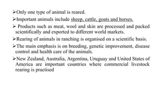 Only one type of animal is reared.
Important animals include sheep, cattle, goats and horses.
 Products such as meat, wool and skin are processed and packed
scientifically and exported to different world markets.
Rearing of animals in ranching is organised on a scientific basis.
The main emphasis is on breeding, genetic improvement, disease
control and health care of the animals.
New Zealand, Australia, Argentina, Uruguay and United States of
America are important countries where commercial livestock
rearing is practised
 