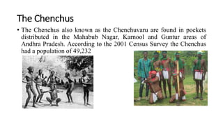 The Chenchus
• The Chenchus also known as the Chenchuvaru are found in pockets
distributed in the Mahabub Nagar, Karnool and Guntur areas of
Andhra Pradesh. According to the 2001 Census Survey the Chenchus
had a population of 49,232
 