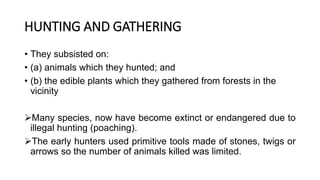 HUNTING AND GATHERING
• They subsisted on:
• (a) animals which they hunted; and
• (b) the edible plants which they gathered from forests in the
vicinity
Many species, now have become extinct or endangered due to
illegal hunting (poaching).
The early hunters used primitive tools made of stones, twigs or
arrows so the number of animals killed was limited.
 