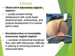 Clinical
Manifestations
• Obstructive transverse vaginal
septum:-
• -- usually present during
adolescence with cyclic lower
abdominal pain, amenorrhea, and
gradual development of a central
pelvic mass.
• Nonobstructive or incomplete
transverse vaginal septum
• -- complain of abnormal menstrual
flow, pain with intercourse, difficulty
in placing or removing tampons, or
obstructed labor
 