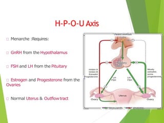 H-P-O-U Axis
Menarche :Requires:
GnRH from the Hypothalamus
FSH and LH from the Pituitary
Estrogen and Progesterone from the
Ovaries
Normal Uterus & Outflowtract
 