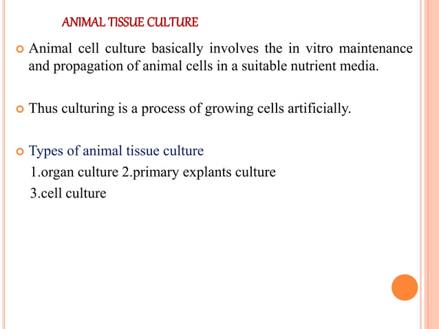 Primary and established cell line culture | PPTX | Biological Sciences ...
