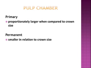 Primary
 proportionately larger when compared to crown
size
Permanent
 smaller in relation to crown size
 