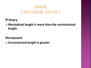 Primary
 Mesiodistal length is more than the cervicoincisal
length.
Permanent
 Cervicoincisal length is greater
 