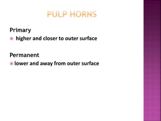 Primary
 higher and closer to outer surface
Permanent
 lower and away from outer surface
 