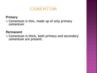 Primary
 Cementum is thin, made up of only primary
cementum
Permanent
 Cementum is thick, both primary and secondary
cementum are present.
 