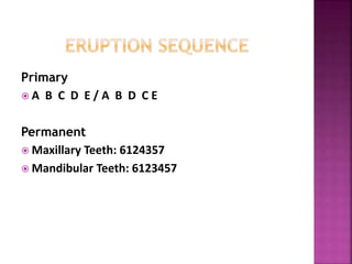 Primary
 A B C D E / A B D C E
Permanent
 Maxillary Teeth: 6124357
 Mandibular Teeth: 6123457
 