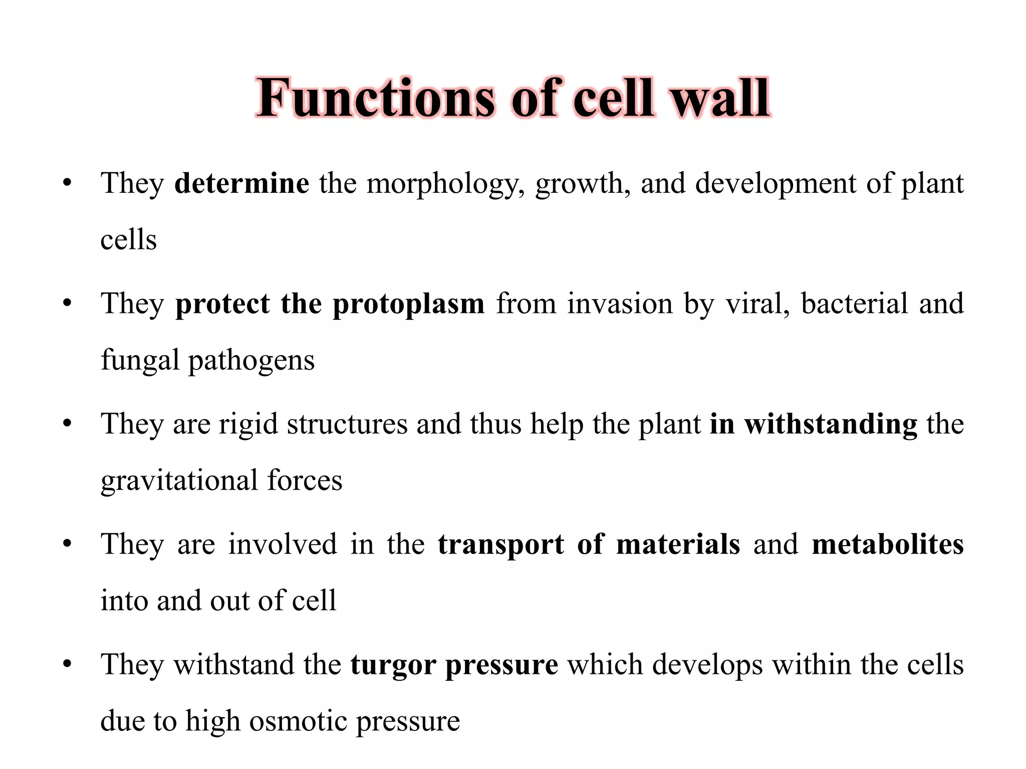 Difference Between Primary Cell And Secondary Cell Wall Primary and secondary cell wall | PPT