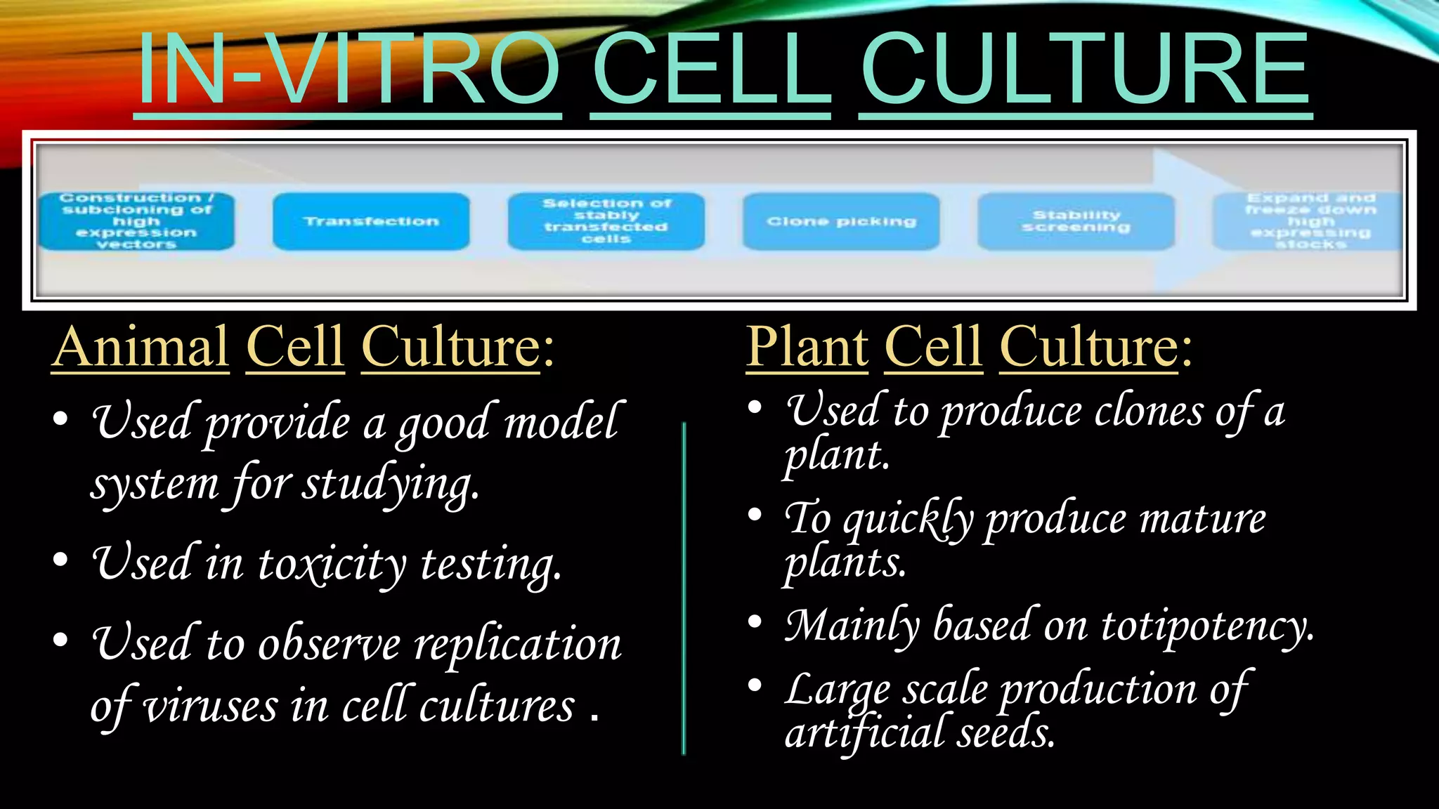IN-VITRO CELL CULTURE
Animal Cell Culture:
• Used provide a good model
system for studying.
• Used in toxicity testing.
• Used to observe replication
of viruses in cell cultures .
Plant Cell Culture:
• Used to produce clones of a
plant.
• To quickly produce mature
plants.
• Mainly based on totipotency.
• Large scale production of
artificial seeds.
 
