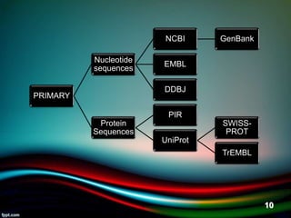 PRIMARY
Nucleotide
sequences
NCBI GenBank
EMBL
DDBJ
Protein
Sequences
PIR
UniProt
SWISS-
PROT
TrEMBL
5/11/2020 10
 