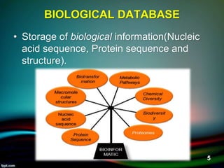 BIOLOGICAL DATABASE
• Storage of biological information(Nucleic
acid sequence, Protein sequence and
structure).
5/11/2020 5
 