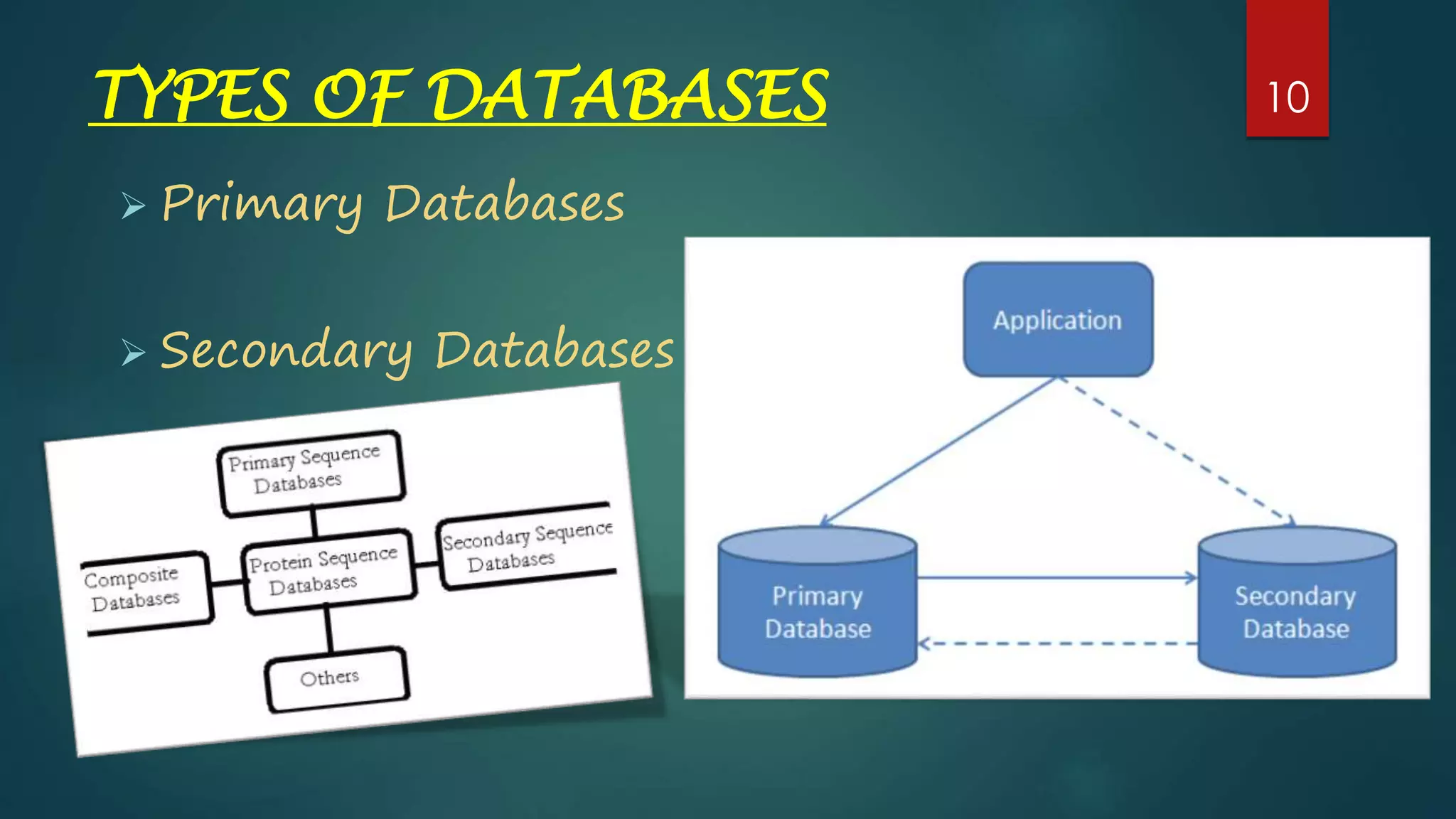 TYPES OF DATABASES
 Primary Databases
 Secondary Databases
10
 