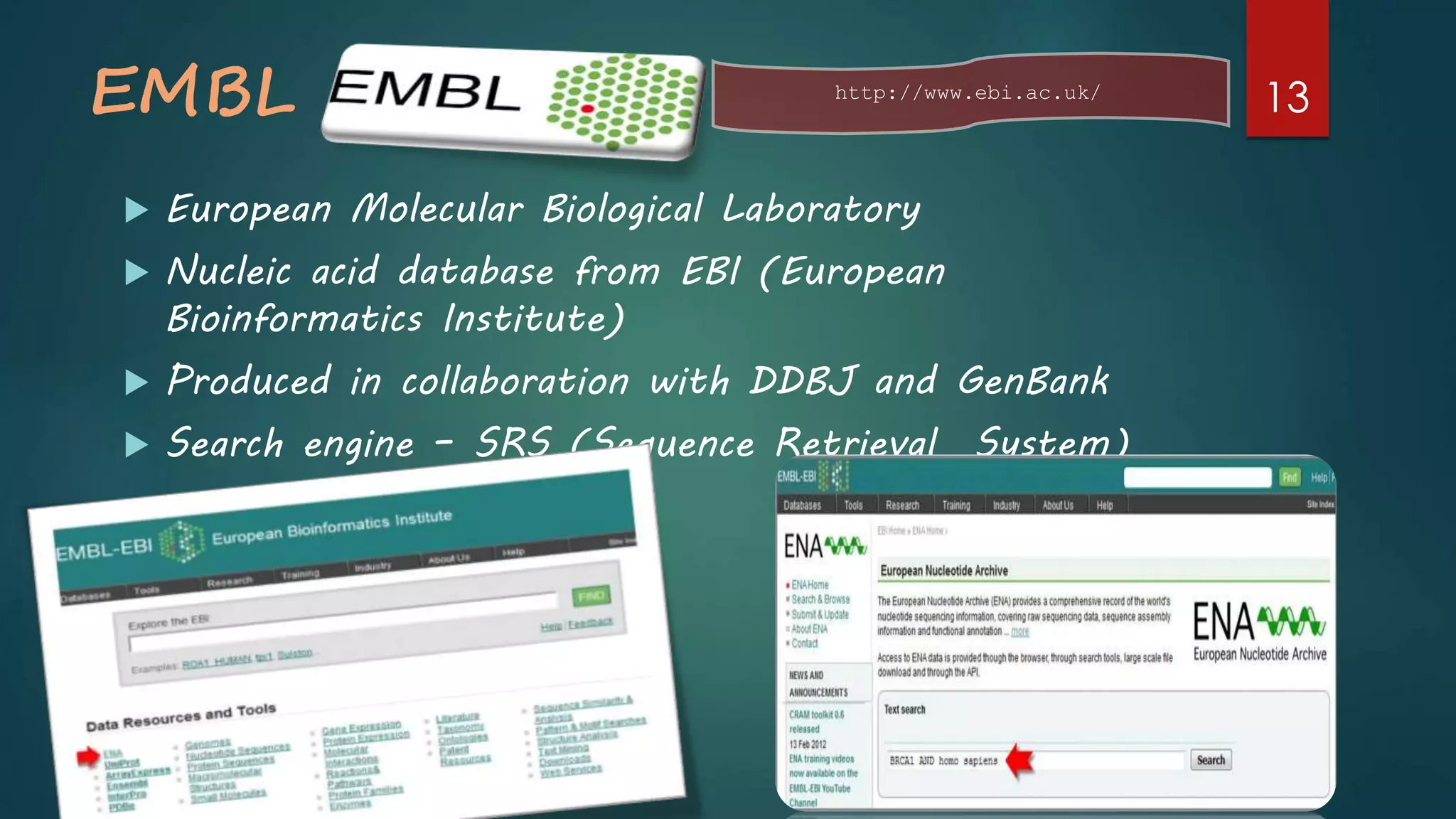 EMBL
 European Molecular Biological Laboratory
 Nucleic acid database from EBI (European
Bioinformatics Institute)
 Produced in collaboration with DDBJ and GenBank
 Search engine – SRS (Sequence Retrieval System)
http://www.ebi.ac.uk/
13
 