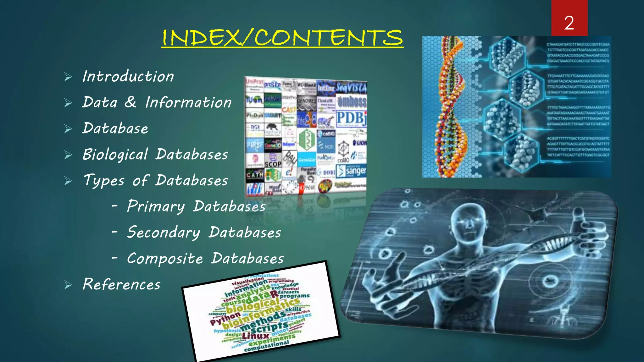 INDEX/CONTENTS
 Introduction
 Data & Information
 Database
 Biological Databases
 Types of Databases
- Primary Databases
- Secondary Databases
- Composite Databases
 References
2
 