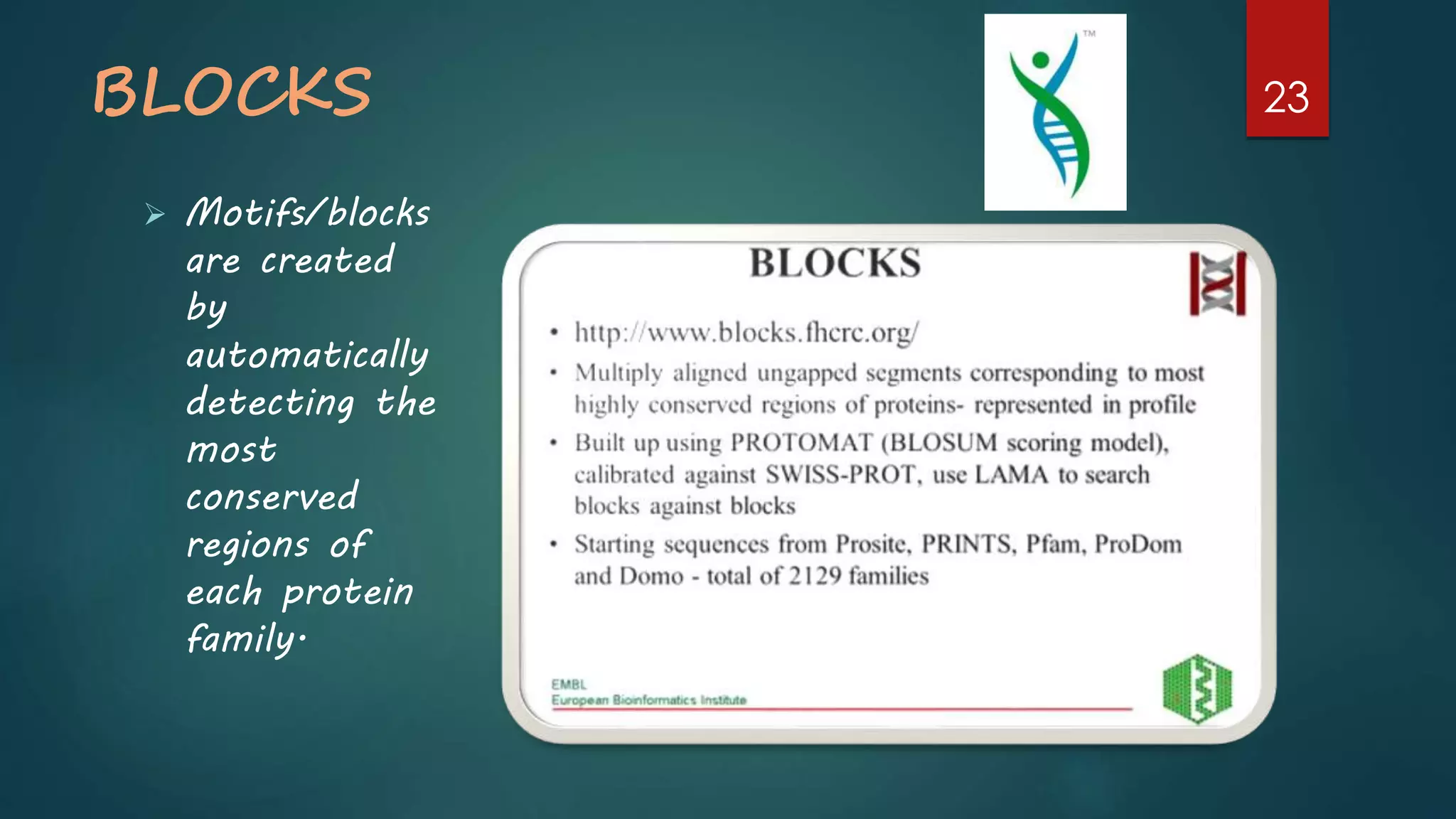 BLOCKS
 Motifs/blocks
are created
by
automatically
detecting the
most
conserved
regions of
each protein
family.
23
 