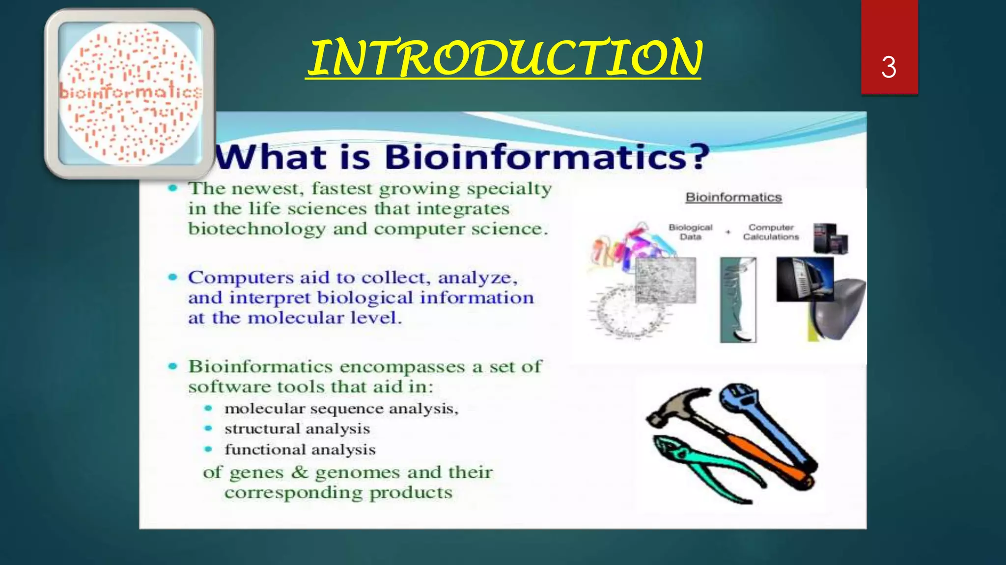 Primary and secondary databases ppt by puneet kulyana