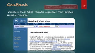 GenBank
Database from NCBI, includes sequences from publicly
available resources.
http://www.ncbi.nlm.nih.gov/genbank/ 12
 