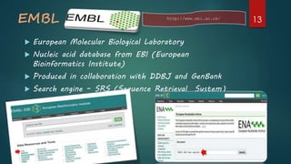 EMBL
 European Molecular Biological Laboratory
 Nucleic acid database from EBI (European
Bioinformatics Institute)
 Produced in collaboration with DDBJ and GenBank
 Search engine – SRS (Sequence Retrieval System)
http://www.ebi.ac.uk/
13
 