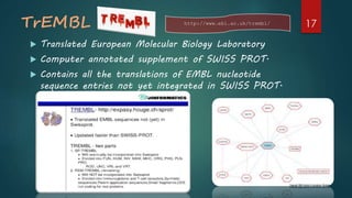 TrEMBL
 Translated European Molecular Biology Laboratory
 Computer annotated supplement of SWISS PROT.
 Contains all the translations of EMBL nucleotide
sequence entries not yet integrated in SWISS PROT.
http://www.ebi.ac.uk/trembl/ 17
 