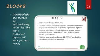 BLOCKS
 Motifs/blocks
are created
by
automatically
detecting the
most
conserved
regions of
each protein
family.
23
 