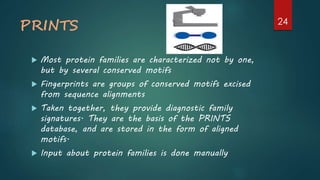 PRINTS
 Most protein families are characterized not by one,
but by several conserved motifs
 Fingerprints are groups of conserved motifs excised
from sequence alignments
 Taken together, they provide diagnostic family
signatures. They are the basis of the PRINTS
database, and are stored in the form of aligned
motifs.
 Input about protein families is done manually
24
 